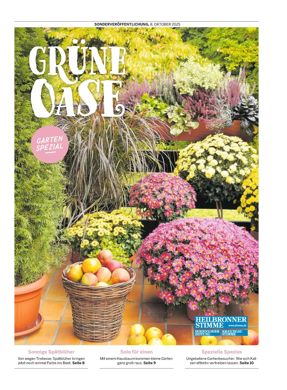 Seiten aus 2025-10-08_BLG_Grüne Oase Garten